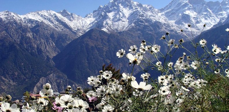 Kinnor Spiti with Manali Package Kinnor Spiti with Manali Package