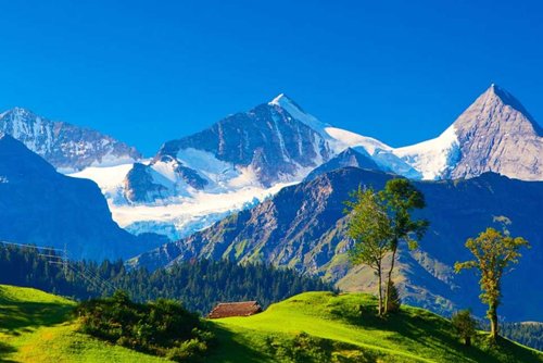 Kashmir The Paradise